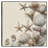 Linen Shell Collection By Studio Arts Framed Wall Art