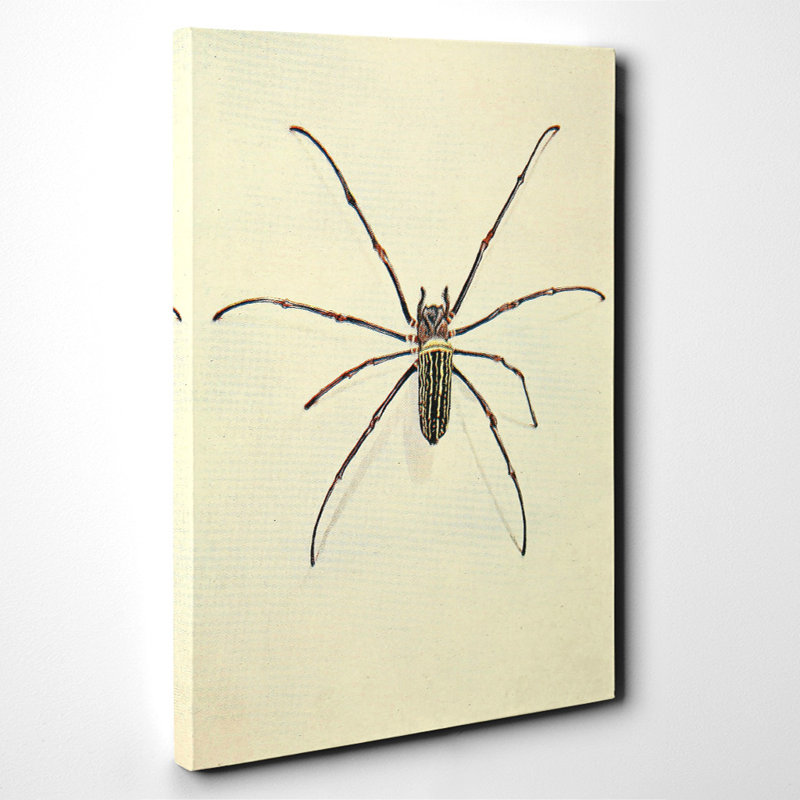 Wrapped Canvas Painting, 60cm H x 40cm W