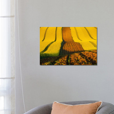 Czech Republic, Moravia, Rapeseed Field II by Mikolaj Gospodarek - Wrapped Canvas Print