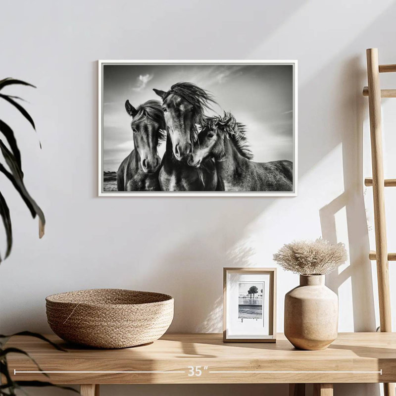 Chevaux Lemvig, Cadre flottant blanc, 19 po x 13 po