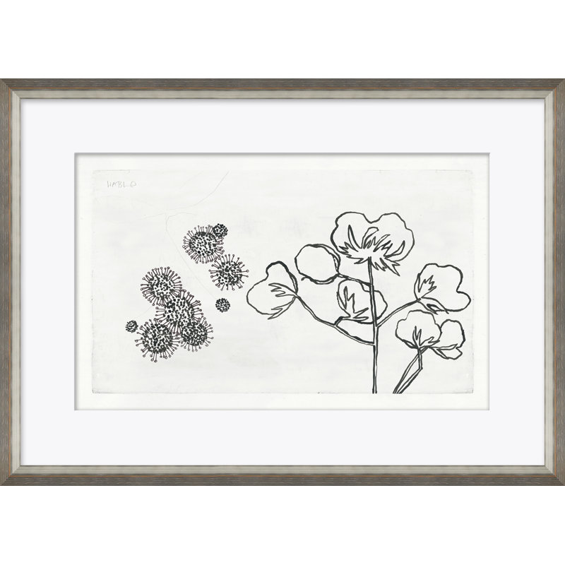 Strawflower Giclee Print by Susan Hable