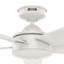 Ventilateur de plafond 52 po d'intérieur et d'extérieur standard à 5 pales avec commande murale