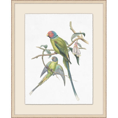 Pair Of Parakeets Illustration Print by Lillian August
