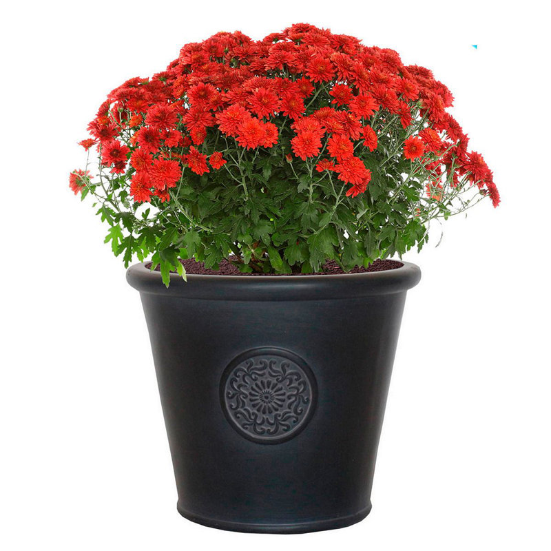 Rustic Style Rolled Rim Wide Vase Planter, Black, 32cm H x 37cm W x 37cm D