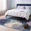 Tapis Canyon Modern Circles à motifs géométriques bleu marine, turquoise, gris, crème et rose, lavable à la machine, antidérapant, à poils courts, pour l'intérieur et l'extérieur, adapté aux animaux domestiques, idéal pour le salon, la chambre, la salle à manger, l'entrée, le couloir ou le bureau.-1641377489