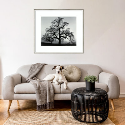 «Oak Tree Sunset City California» par Ansel Adams - reproduction d'un seul cadre