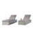 Outdoor Chaise Lounges With Adjustable Backrest And Storage For Outside-10660853