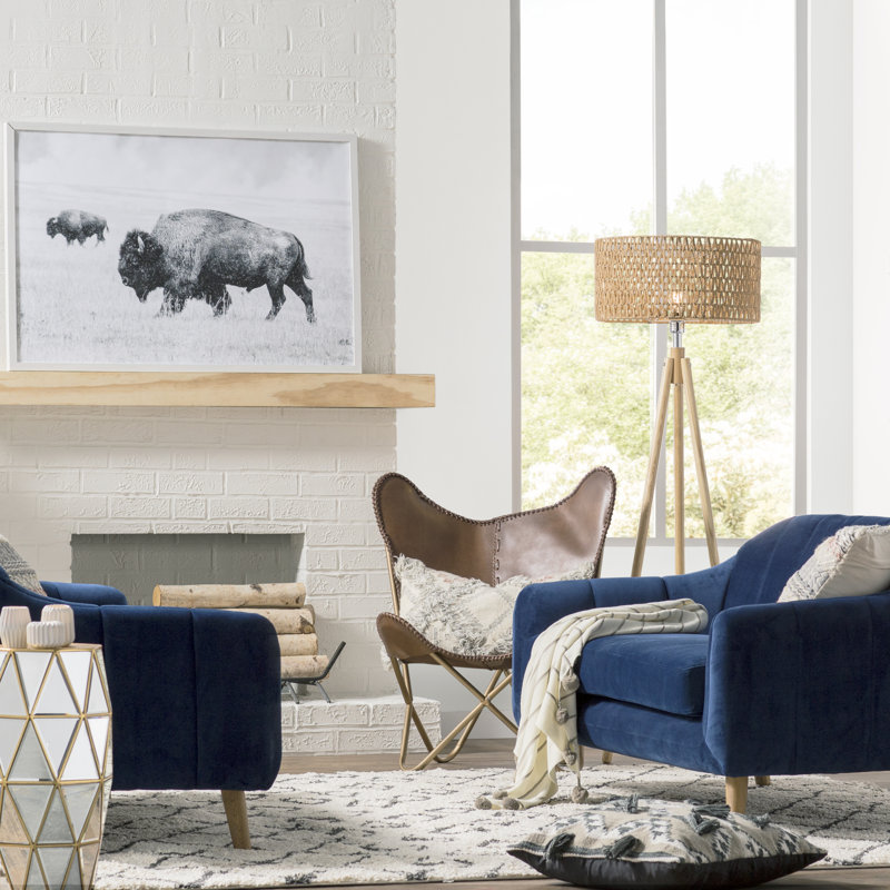 «Buffalo pair» par Marmont Hill - reproduction de photo sur papier encadrée, H 24 po x l 36 po x P 1,5 po