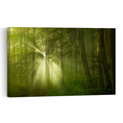 Enchanted Forest Dreamy Ethereal Peaceful Forest Nature Wall Art Print 1 Piece Wrapped Canvas Wall Art
