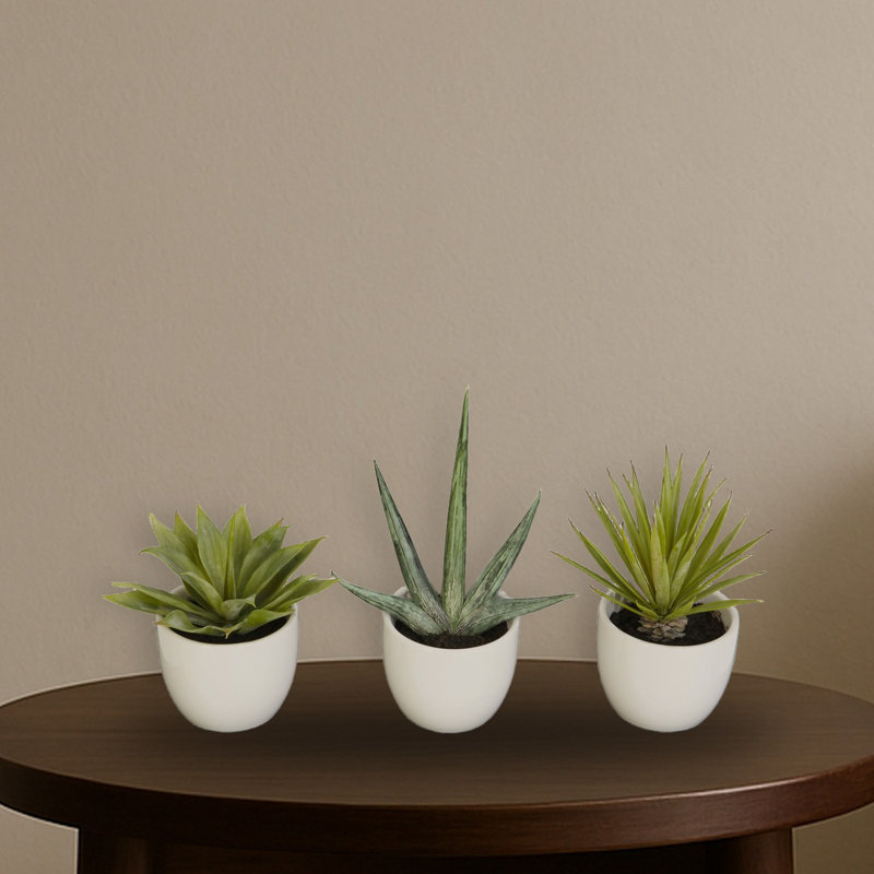 Southwest Collection Silk Agave Plant Set
