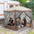 Pop-up Gazebo 6-sided Instant Setup Screen House Hub Tent with Mesh Netting Walls