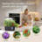 Indoor Hydroponic Growing System