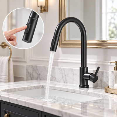 Robinet de cuisine noir mat Mosson avec douchette extractible et col-de-cygne