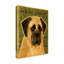«English Mastiff» par Kaior, impression sur toile tendue-27492690