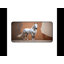 Andalusian Horse Portrait Desk Mat-2005263483