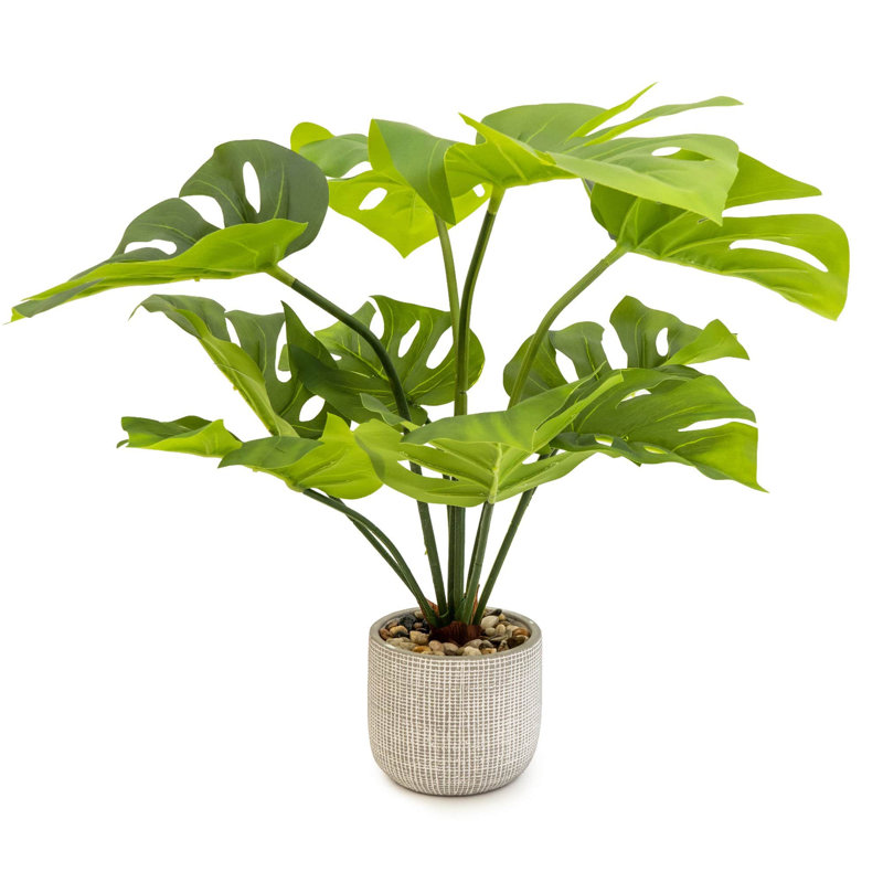 50cm Faux Dracaena Plant in Cement Pot
