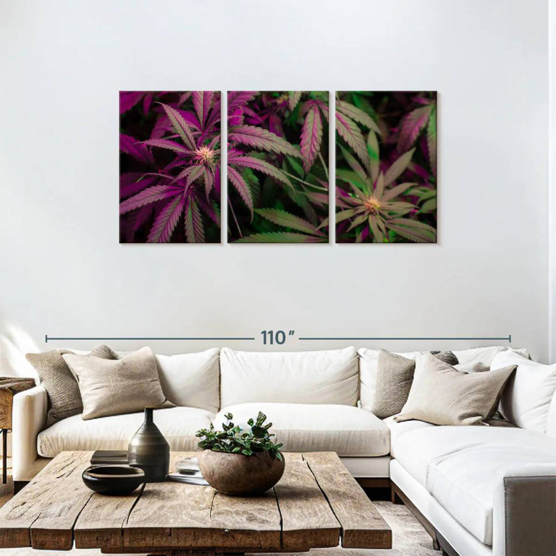 Lavander Marijuana, 36" H x 74" W