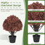 Topiaire artificielle 24 po 24 po-27040628