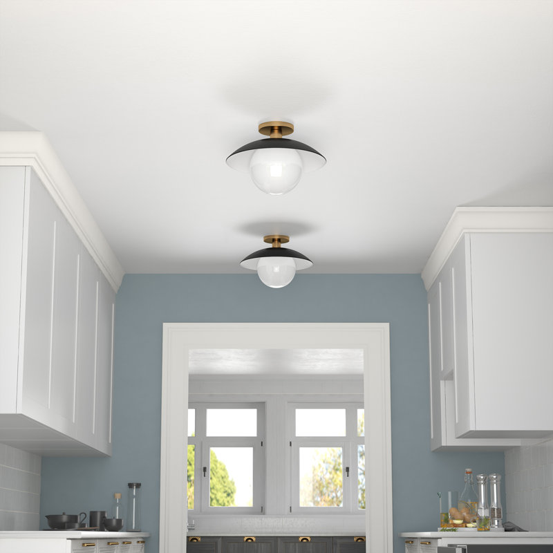 Robin Glass Semi Flush Mount, Matte Black
