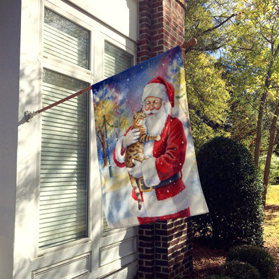 Spotted Tabby Brown Cat with Santa Claus House Flag
