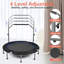 Trampoline LeffEase