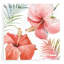 «Tropical Blush III» par Lisa Audit-1601366428