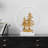 Dalainey Metal Globe Lamp-1559442426