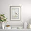 Bird Drawings, circa 1777 2 Framed Watercolour Painting Print
