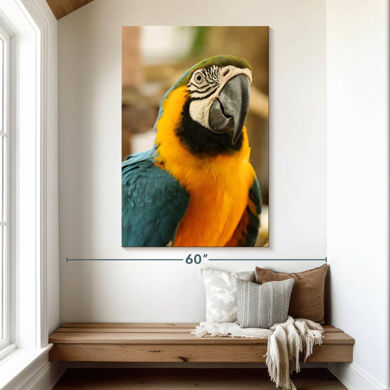 Brampt Exotic Macaw, 51" H x 34" W