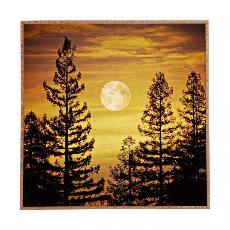 «Moon», image encadrée, H 12 po x l 12 po x P 1 po