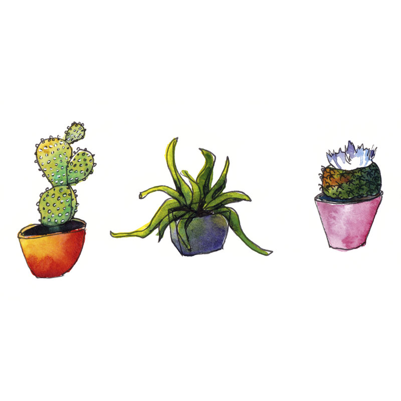 Vibing Succulents I by Paul McCreery - Painting Print, 81cm H x 122cm W, Black Floater Frame