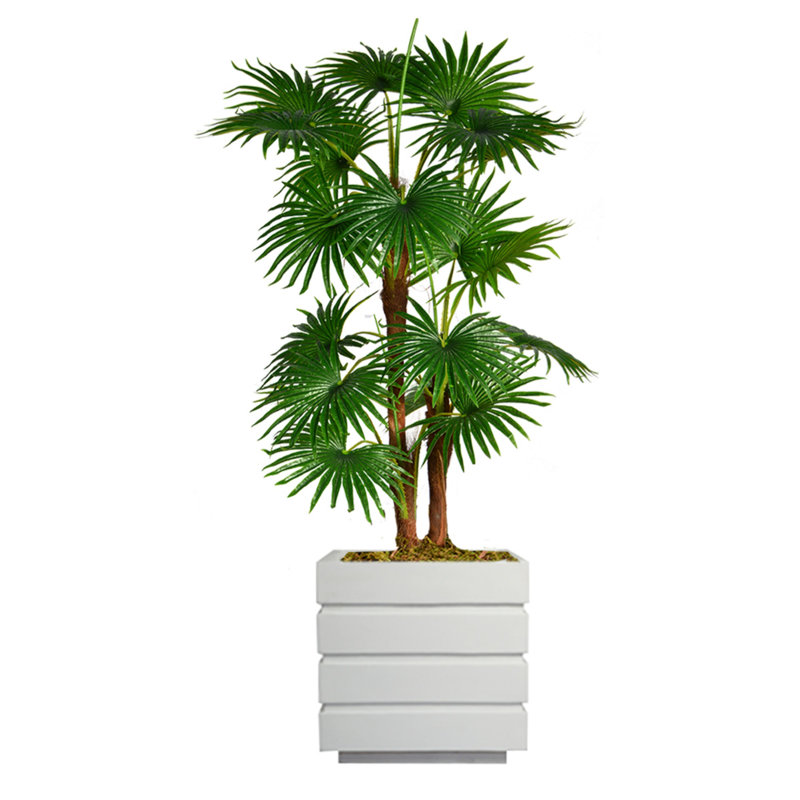 Panama 54 " H Faux Palm Tree in Fiberstone Planter, White