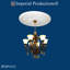 Médaillon de plafond
