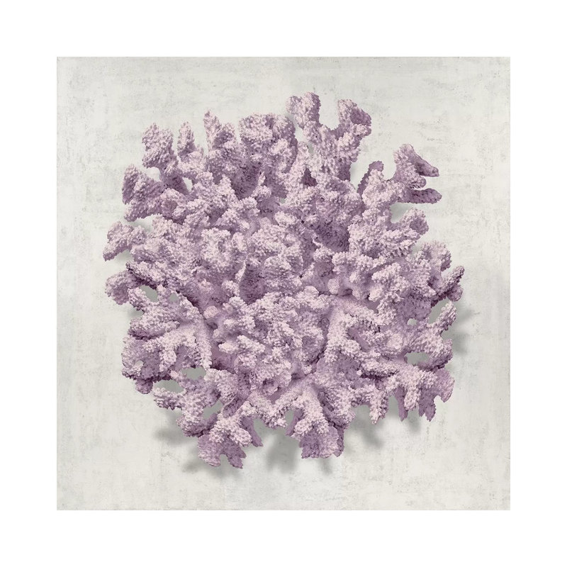 Coral Amethyst II by Caroline Kelly - Wrapped Canvas Print, 45.72 cm H x 45.72 cm W x 1.91 cm D