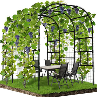 Treillis arqué pour jardin d'extérieur, treillis de jardin très grand pour plantes grimpantes, support pour plantes d'extérieur