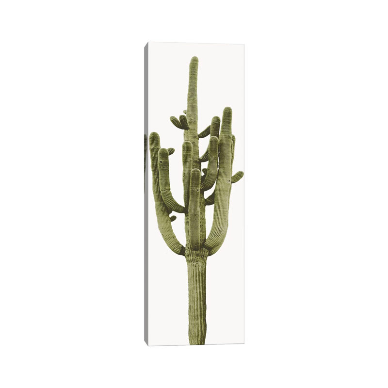 Saguaro Cactus II by Mia Jensen - Wrapped Canvas Panoramic Painting, 121.92 cm H x 40.64 cm W x 3.175 cm D