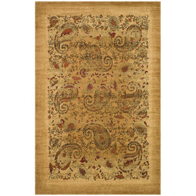 Klose Performance Paisley Rug