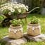 Ensemble de 2 pots à fleurs à tissage de ciment 2 pièces - Contenants de plantation élégants de 6,5 pouces pour espaces de jardinage personnalisés