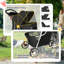 Foldable Pet-126108410