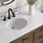 Amariani 48" Single Bathroom Vanity Set-1672494054