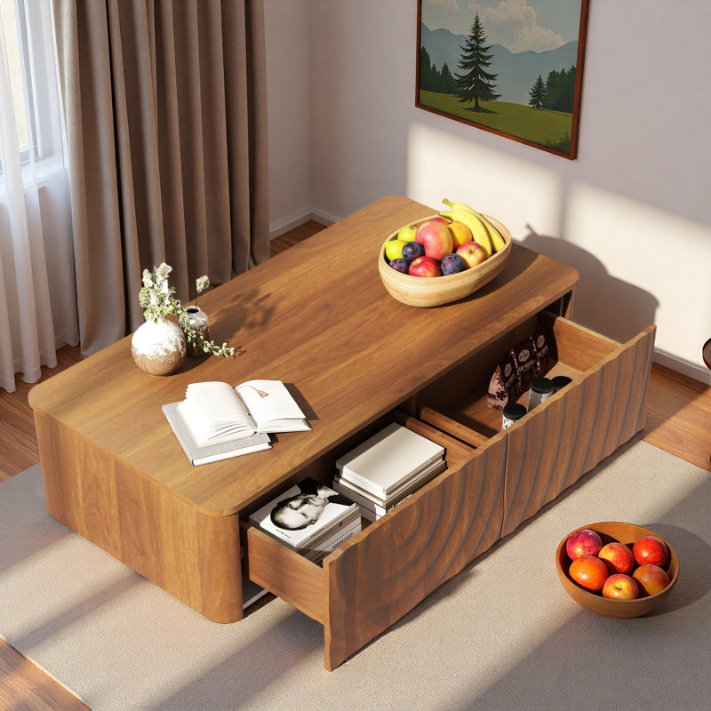 Table basse 2 tiroirs Modern, Brun