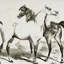 « équin sketch xxviv », impression-28042227-22188215-28042225