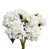 Blanc est en rupture de stock