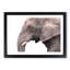 Portrait of an Elephant - Picture Frame Painting Print-56758688-56758693