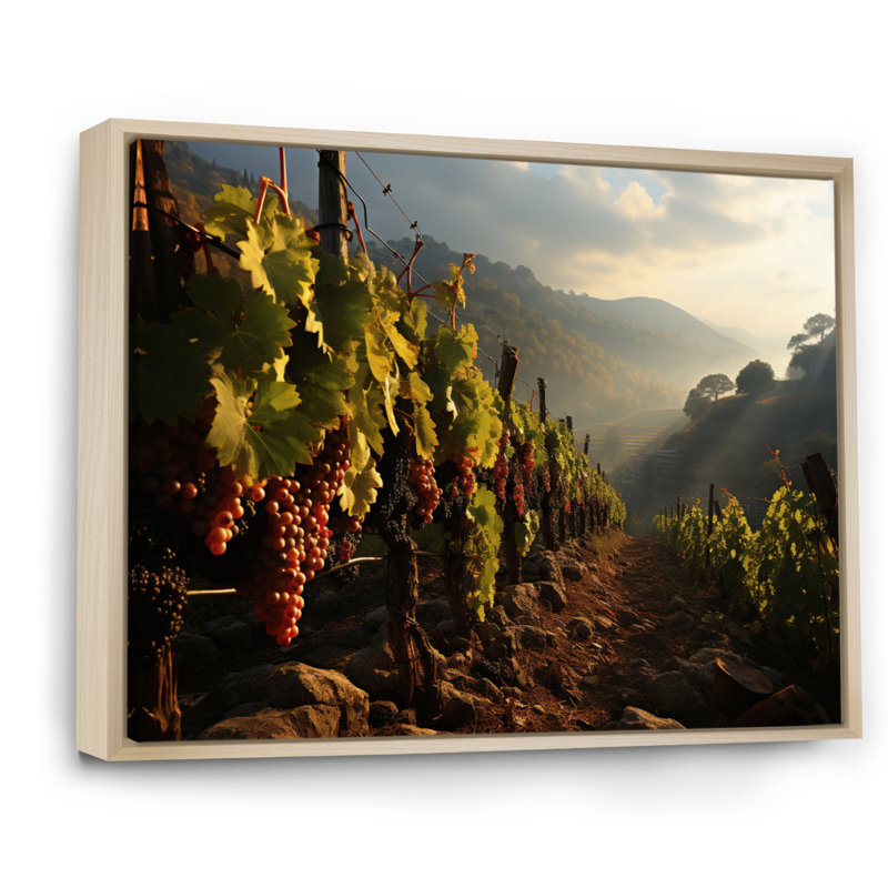 «Vineyard Misty Meadows Cellars I», reproduction sur toile, Cadre naturel flottant, H 24 po x l 32 po x P 1 po