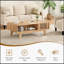 Table basse, tables de salon, table moderne avec rangement, table basse Mid Century