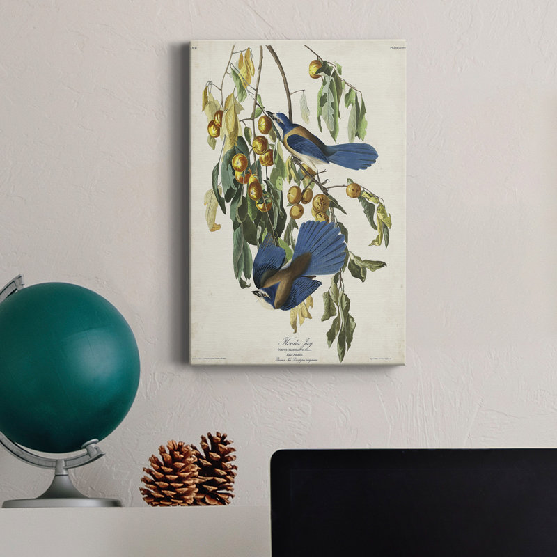 Pl 87 Florida Jay - impression sur toile tendue, H 18 po x l 12 po x P 1 po