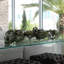 Casa Moderna Faux Succulent Plant in Glass Planter
