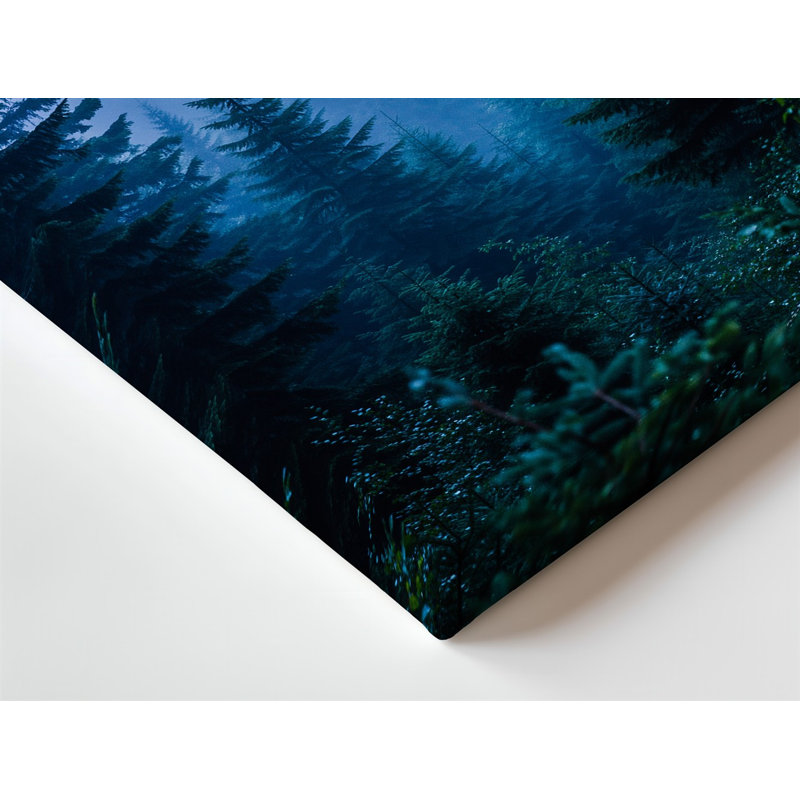Toile «A Dense Misty Forest Scene Captured At Twilight» mettant en vedette un art mural imposant, arbres à feuilles persistantes avec différentes nuances de vert profond