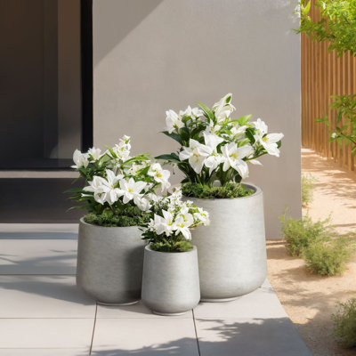 Brennus 3-Piece Cement Pot Planter Set
